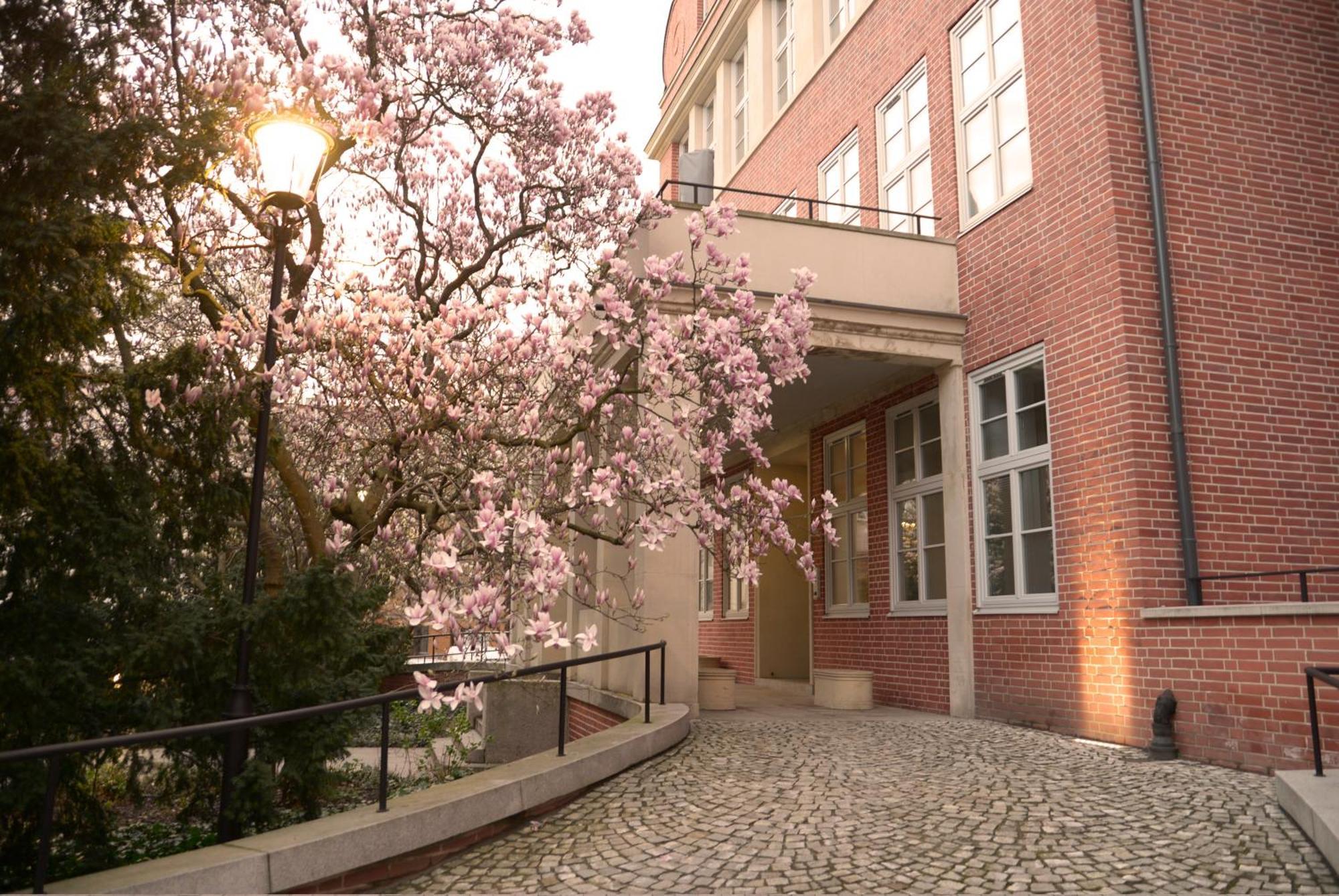 Rooms In Historic Heart Of Breslau Exterior foto